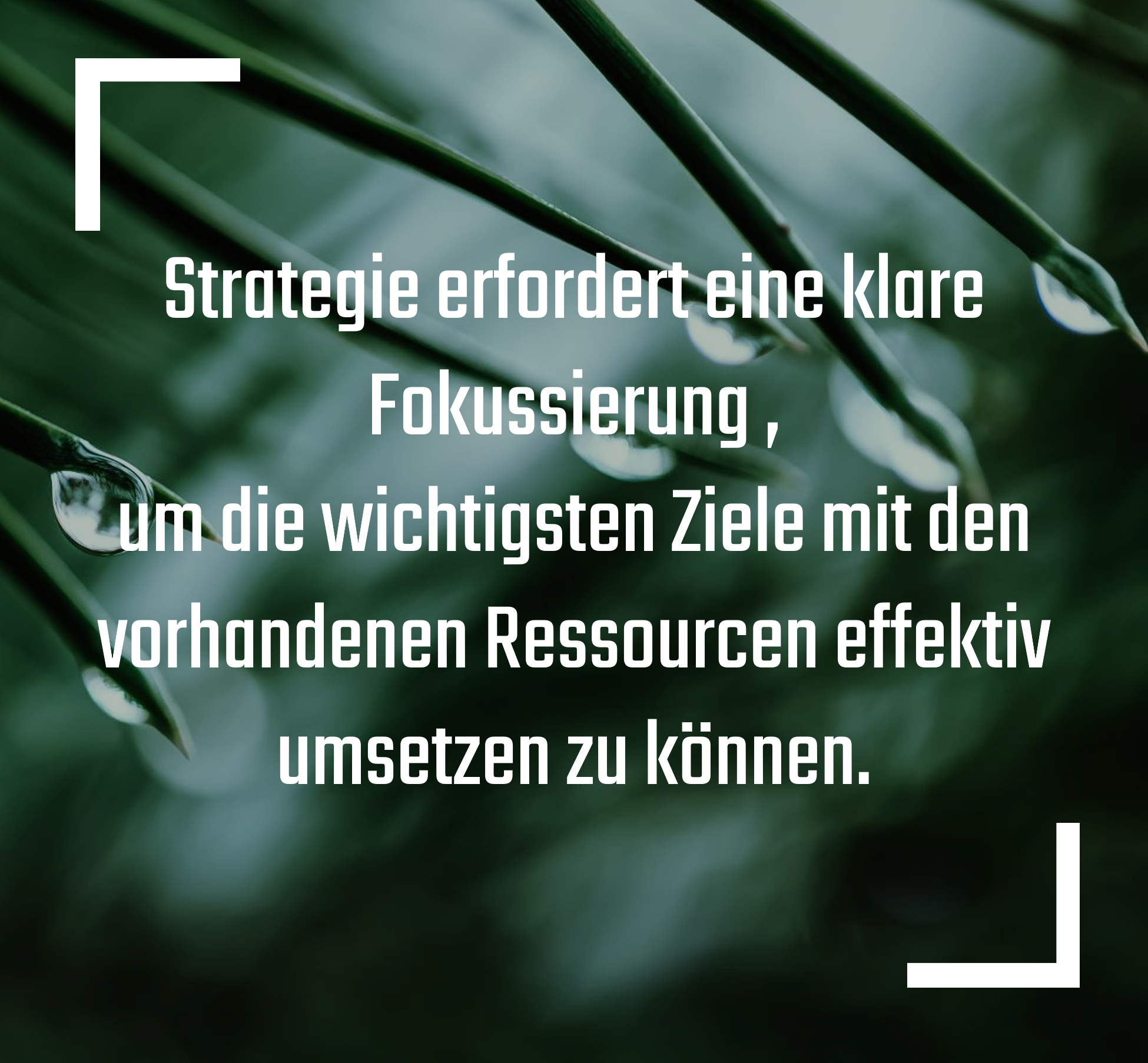 Strategie und Nachhaltigkeit