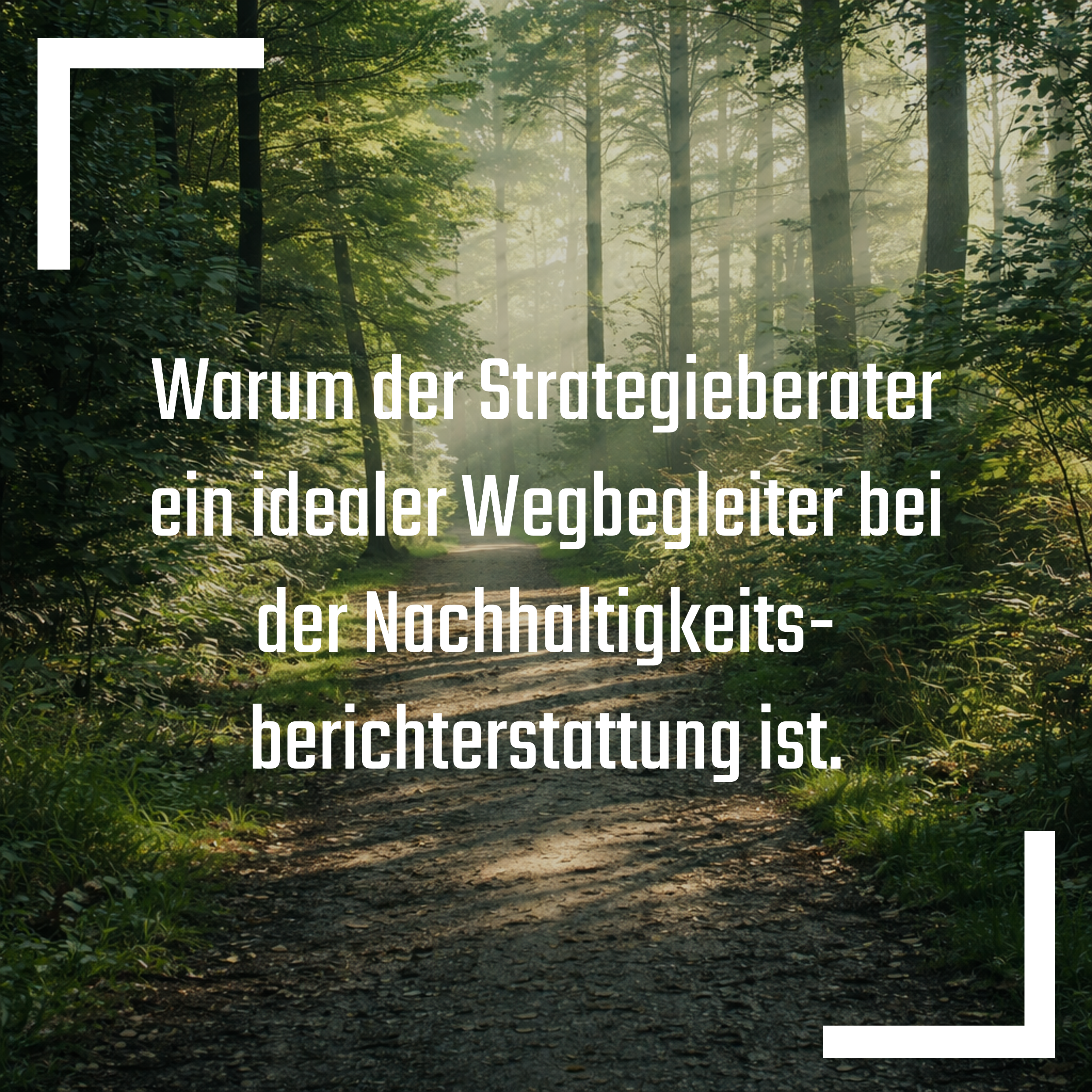 Strategie und Nachhaltigkeit