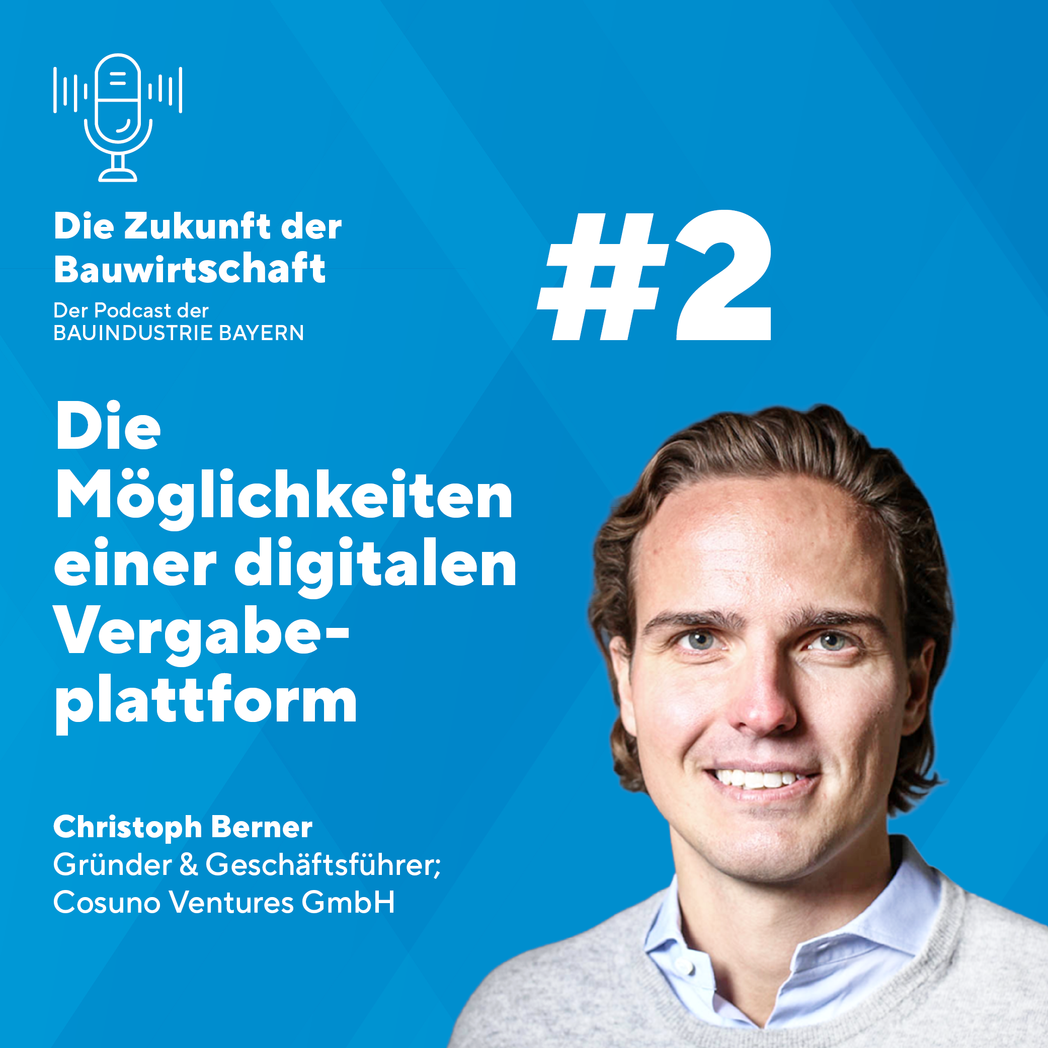 20260604_Berner_Christoph DIE MÖGLICHKEITEN EINER DIGITALEN VERGABEPLATTFORM